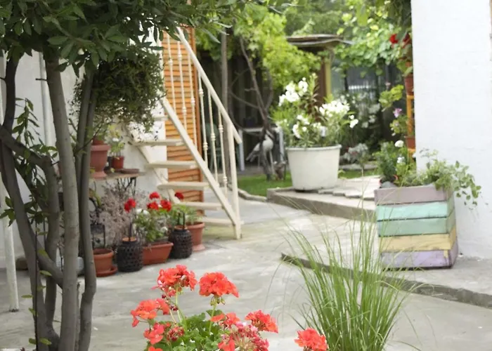 בית הארחה Casa Apusul Soarelui אפורי נורד